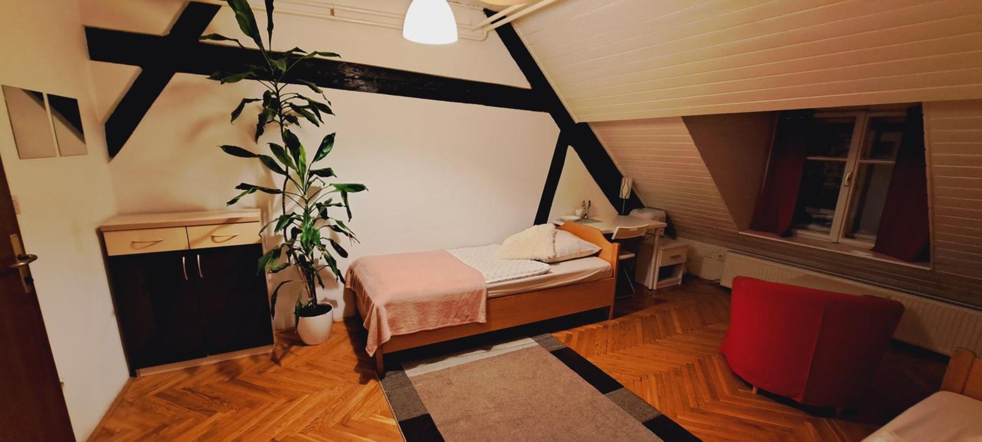 Viksi Hostel Любляна Стая снимка